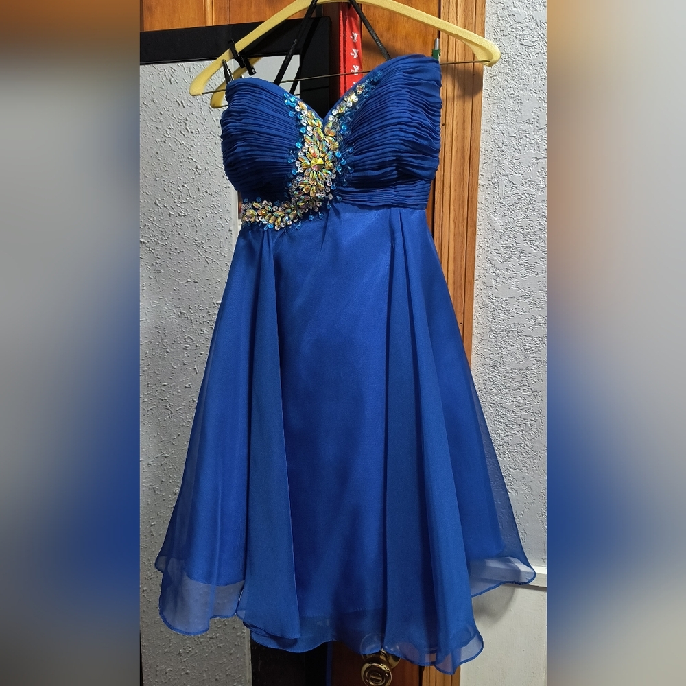 Alyce Paris dress